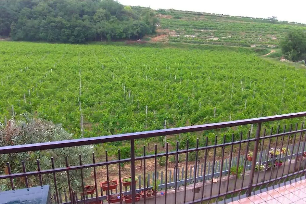 Casa Corvina Apartment Negrar